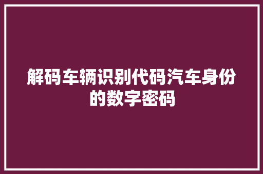 解码车辆识别代码汽车身份的数字密码