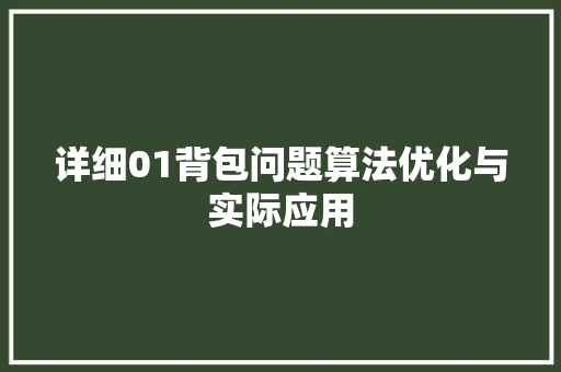 详细01背包问题算法优化与实际应用
