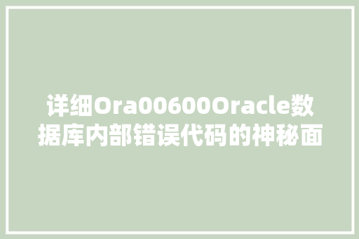 详细Ora00600Oracle数据库内部错误代码的神秘面纱 seo技术