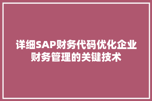 详细SAP财务代码优化企业财务管理的关键技术 头条优化