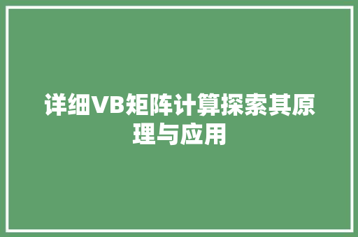 详细VB矩阵计算探索其原理与应用