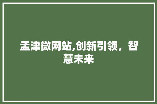 孟津微网站,创新引领，智慧未来