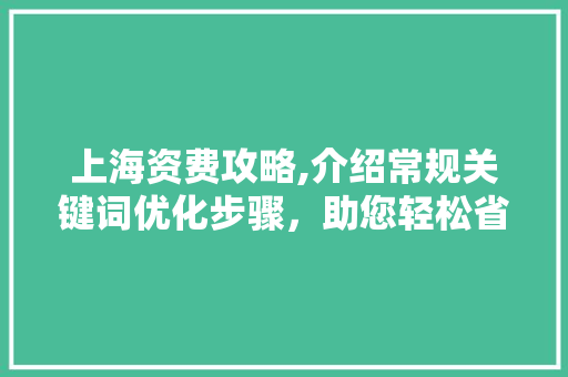 上海资费攻略,介绍常规关键词优化步骤，助您轻松省心 小程序开发