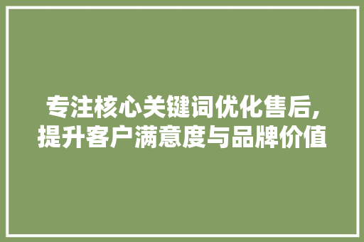 专注核心关键词优化售后,提升客户满意度与品牌价值的方法