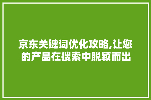 京东关键词优化攻略,让您的产品在搜索中脱颖而出