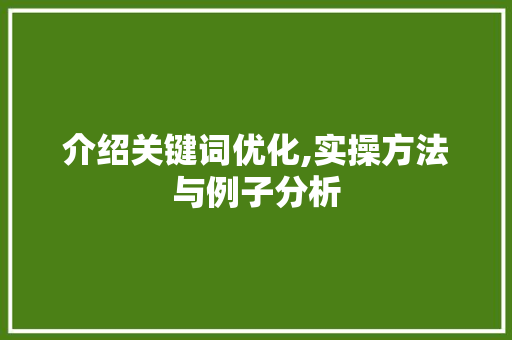 介绍关键词优化,实操方法与例子分析 seo技术