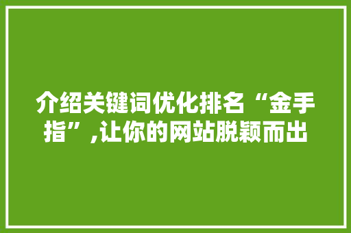 介绍关键词优化排名“金手指”,让你的网站脱颖而出 网站优化