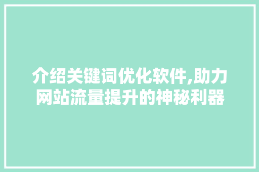 介绍关键词优化软件,助力网站流量提升的神秘利器 网站优化