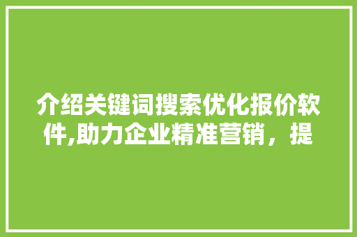介绍关键词搜索优化报价软件,助力企业精准营销，提升竞争力 英文谷歌算法
