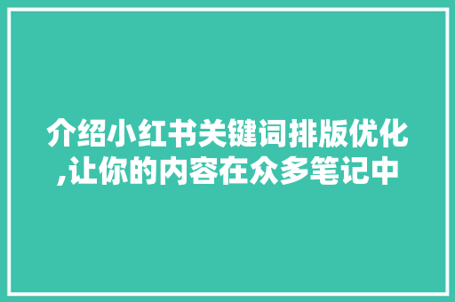 介绍小红书关键词排版优化,让你的内容在众多笔记中脱颖而出 英文谷歌算法