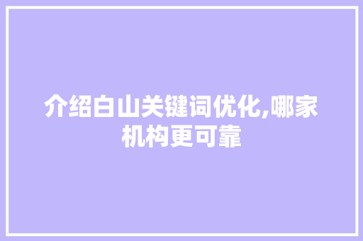 介绍白山关键词优化,哪家机构更可靠 小程序开发