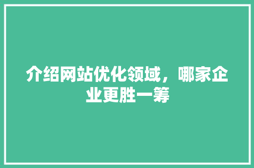 介绍网站优化领域，哪家企业更胜一筹