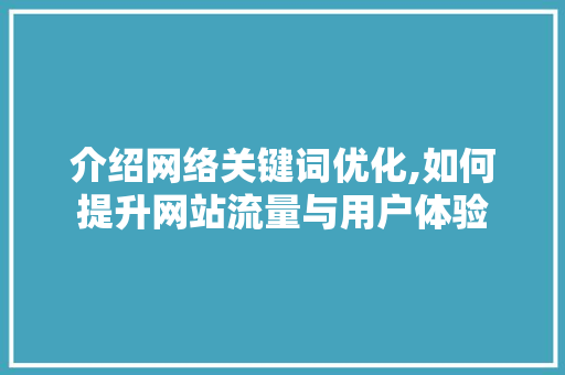 介绍网络关键词优化,如何提升网站流量与用户体验 网站开发