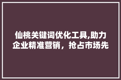 仙桃关键词优化工具,助力企业精准营销，抢占市场先机