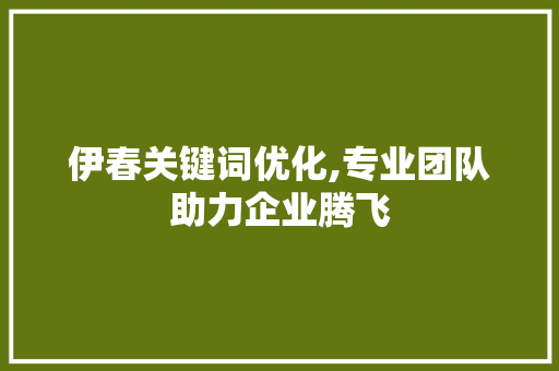 伊春关键词优化,专业团队助力企业腾飞