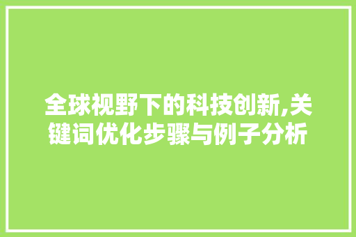 全球视野下的科技创新,关键词优化步骤与例子分析 百度算法