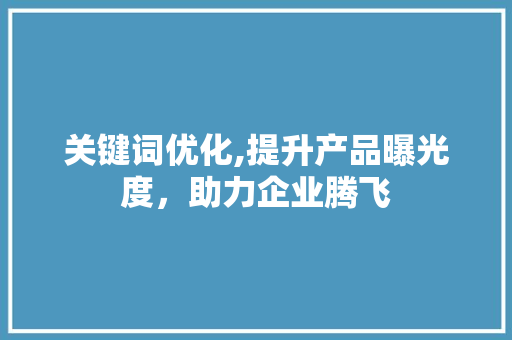 关键词优化,提升产品曝光度，助力企业腾飞 小程序开发