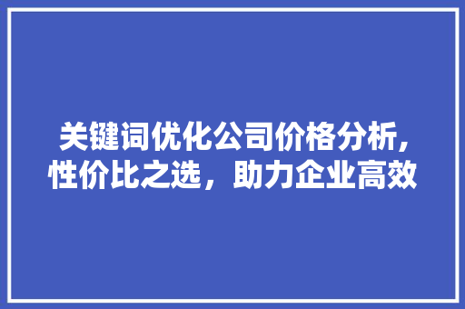 关键词优化公司价格分析,性价比之选，助力企业高效营销 英文谷歌算法