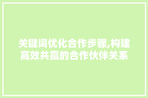 关键词优化合作步骤,构建高效共赢的合作伙伴关系