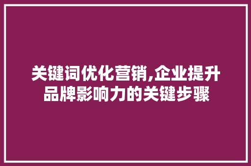 关键词优化营销,企业提升品牌影响力的关键步骤 百度算法