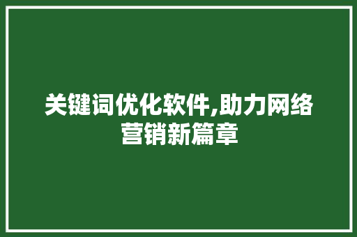 关键词优化软件,助力网络营销新篇章 网站优化