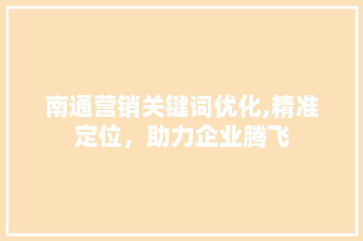 南通营销关键词优化,精准定位，助力企业腾飞 网站开发