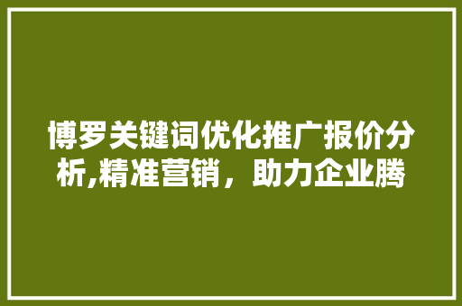 博罗关键词优化推广报价分析,精准营销，助力企业腾飞 seo技术