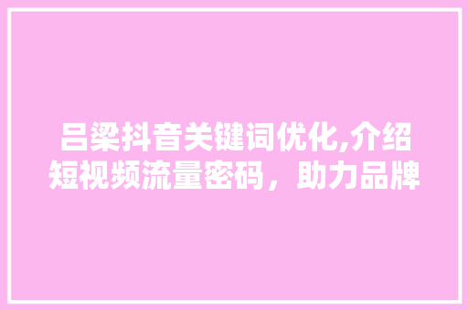 吕梁抖音关键词优化,介绍短视频流量密码，助力品牌传播新篇章