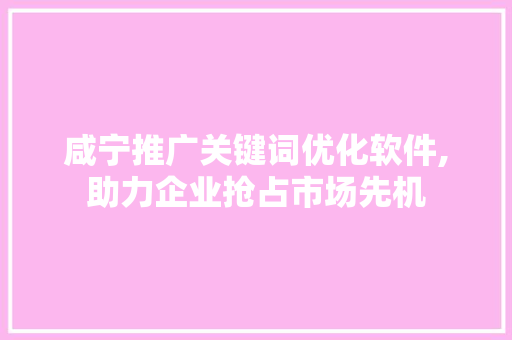 咸宁推广关键词优化软件,助力企业抢占市场先机 小程序开发