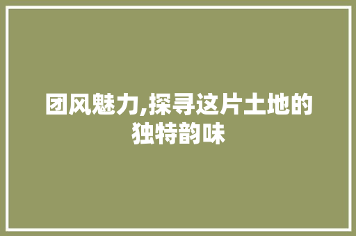 团风魅力,探寻这片土地的独特韵味