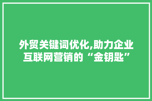 外贸关键词优化,助力企业互联网营销的“金钥匙” 网站优化