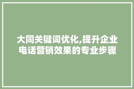 大同关键词优化,提升企业电话营销效果的专业步骤 网站优化