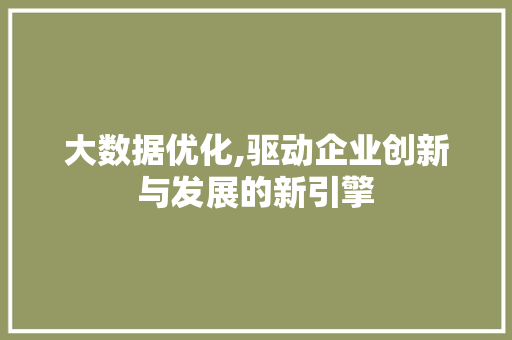 大数据优化,驱动企业创新与发展的新引擎