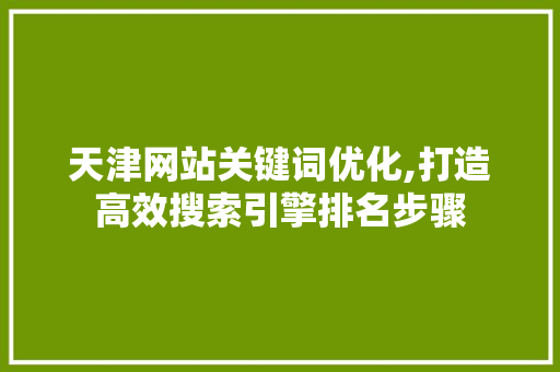 天津网站关键词优化,打造高效搜索引擎排名步骤 网站优化