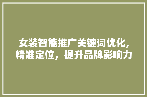 女装智能推广关键词优化,精准定位，提升品牌影响力 英文谷歌算法