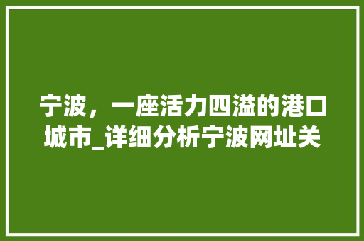 宁波，一座活力四溢的港口城市_详细分析宁波网址关键词优化步骤 网站优化