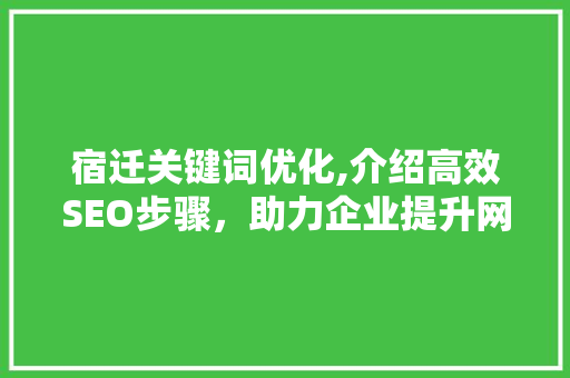 宿迁关键词优化,介绍高效SEO步骤，助力企业提升网络曝光率