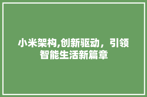 小米架构,创新驱动，引领智能生活新篇章
