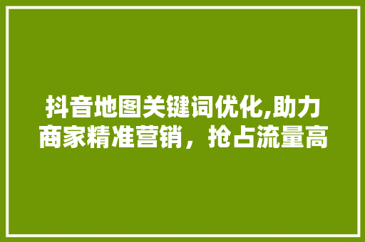 抖音地图关键词优化,助力商家精准营销，抢占流量高地 seo技术