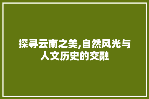 探寻云南之美,自然风光与人文历史的交融 网站优化