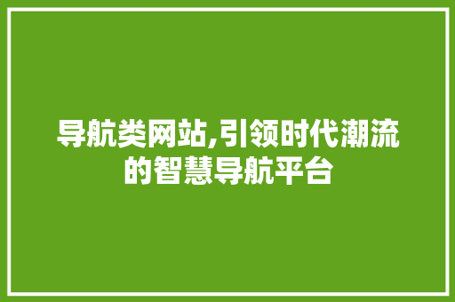 导航类网站,引领时代潮流的智慧导航平台