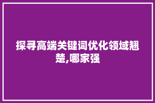探寻高端关键词优化领域翘楚,哪家强 seo技术
