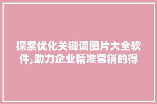 探索优化关键词图片大全软件,助力企业精准营销的得力助手