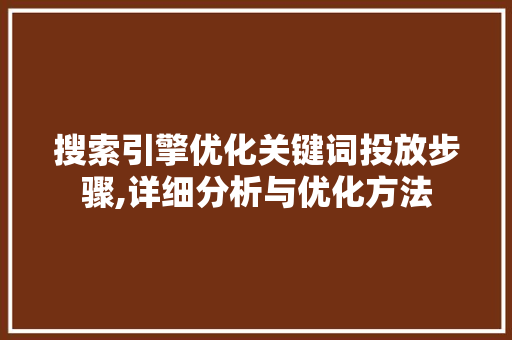 搜索引擎优化关键词投放步骤,详细分析与优化方法 网站优化