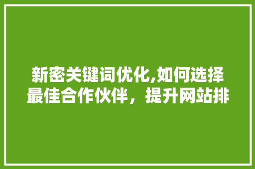 新密关键词优化,如何选择最佳合作伙伴，提升网站排名与流量 百度算法