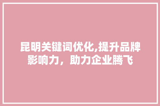 昆明关键词优化,提升品牌影响力，助力企业腾飞 网站开发