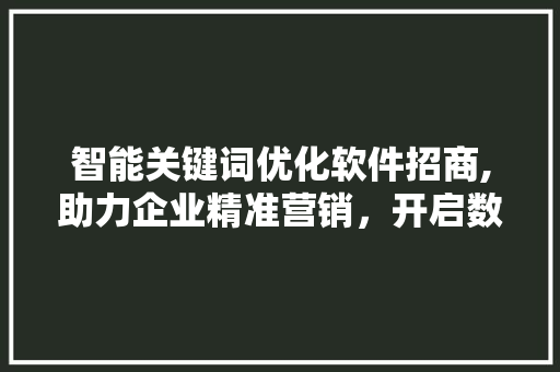智能关键词优化软件招商,助力企业精准营销，开启数字营销新时代 seo技术
