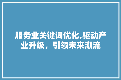 服务业关键词优化,驱动产业升级，引领未来潮流 网站优化