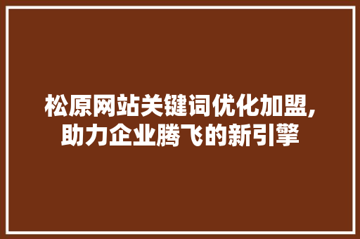 松原网站关键词优化加盟,助力企业腾飞的新引擎 网站优化