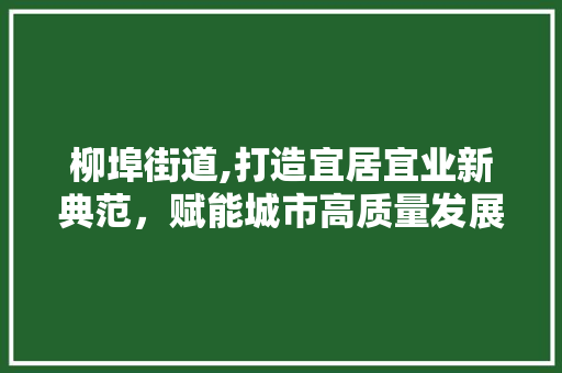 柳埠街道,打造宜居宜业新典范，赋能城市高质量发展 英文谷歌算法